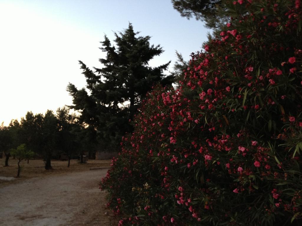 הוילה קסטלוצו La Giara San Vito Lo Capo מראה חיצוני תמונה
