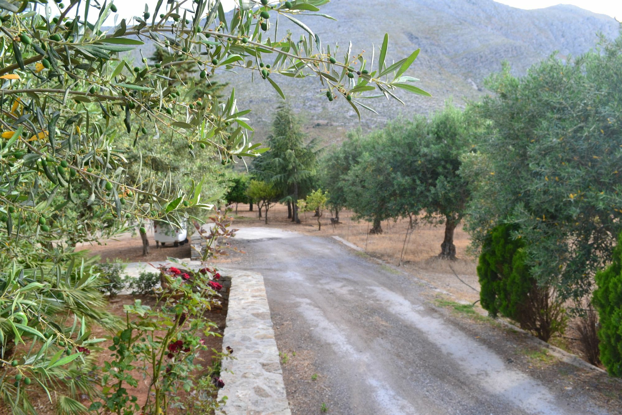 הוילה קסטלוצו La Giara San Vito Lo Capo מראה חיצוני תמונה